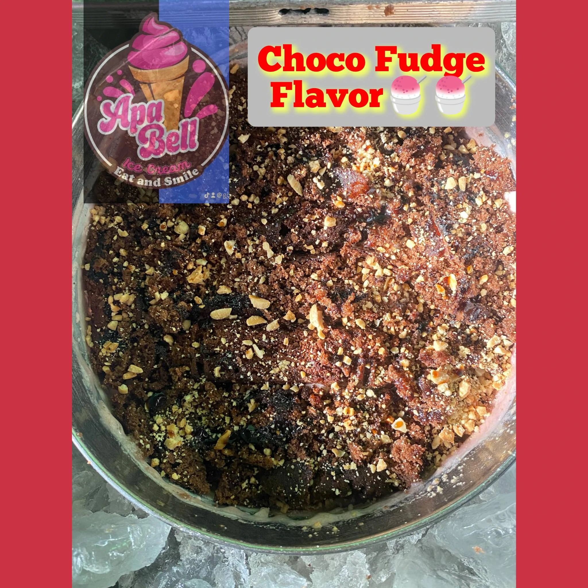 Choco Fudge Ice Cream